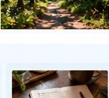 Sunlit forest trail